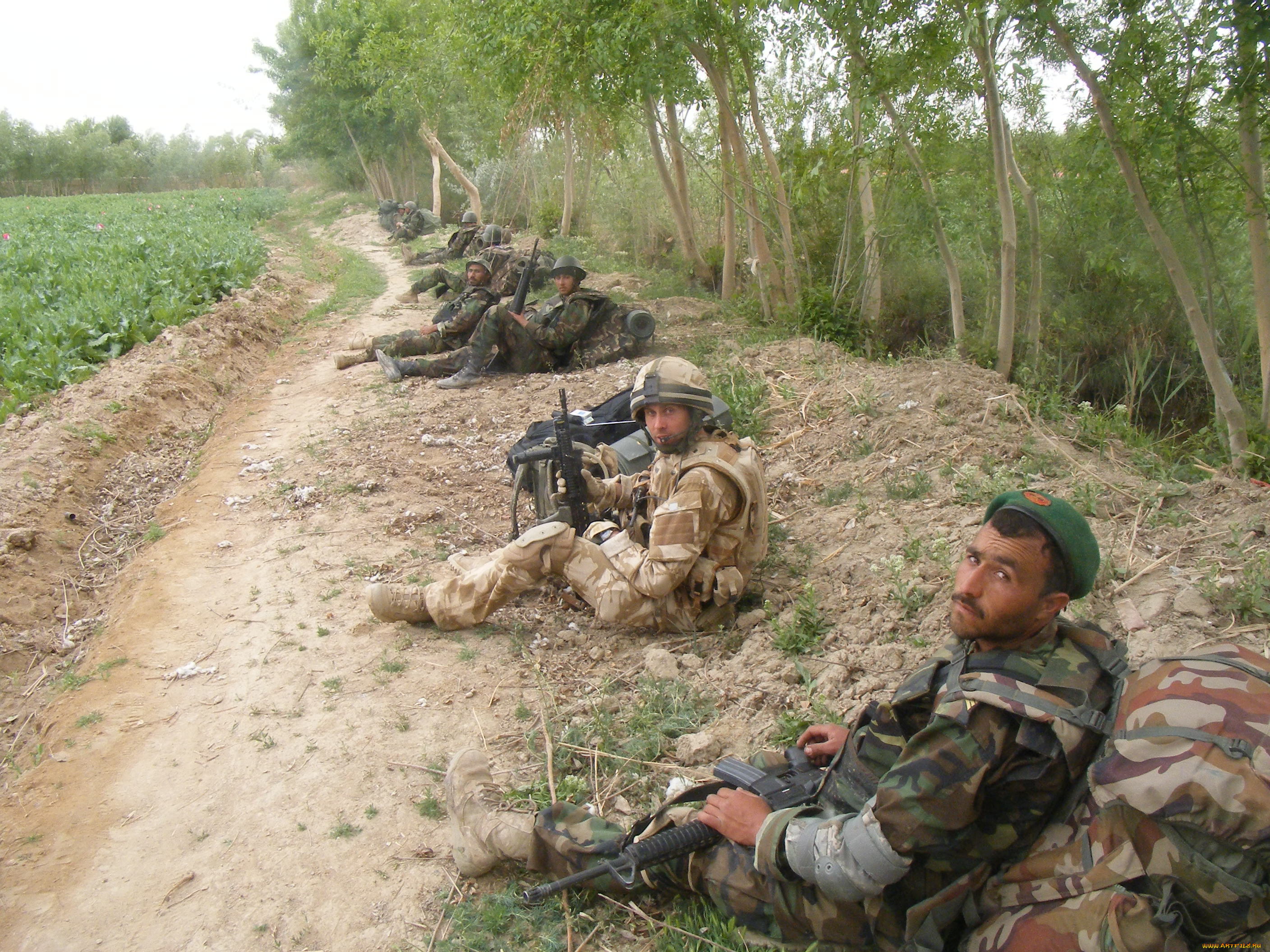 , , , army, military